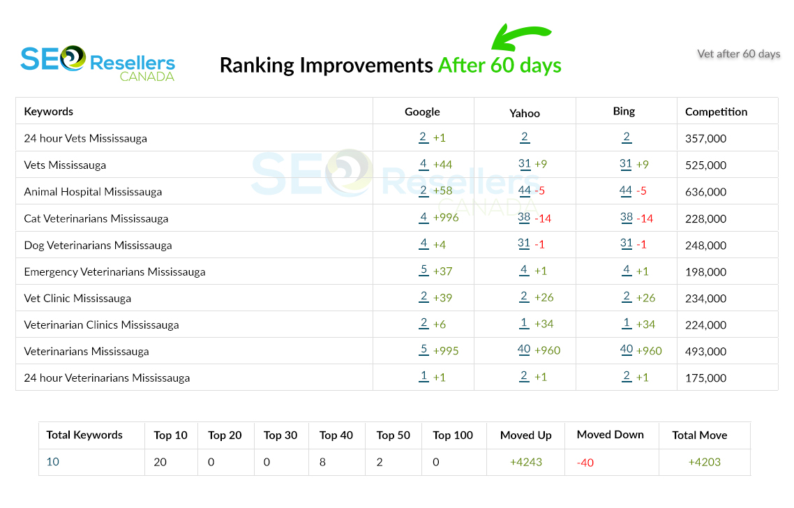 SEO Results for Veterinary Services After