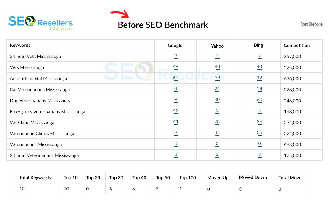 SEO Results for Veterinary Services Before
