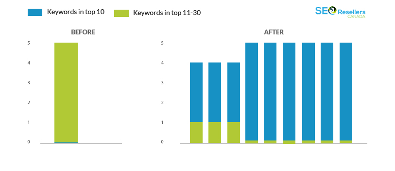SEO traffic growth graph