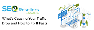 What’s Causing Your Traffic Drop and How to Fix It Fast?