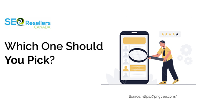 Which One Should You Pick?